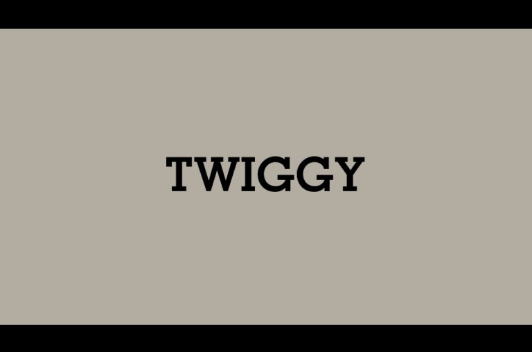 twiggy_video_image