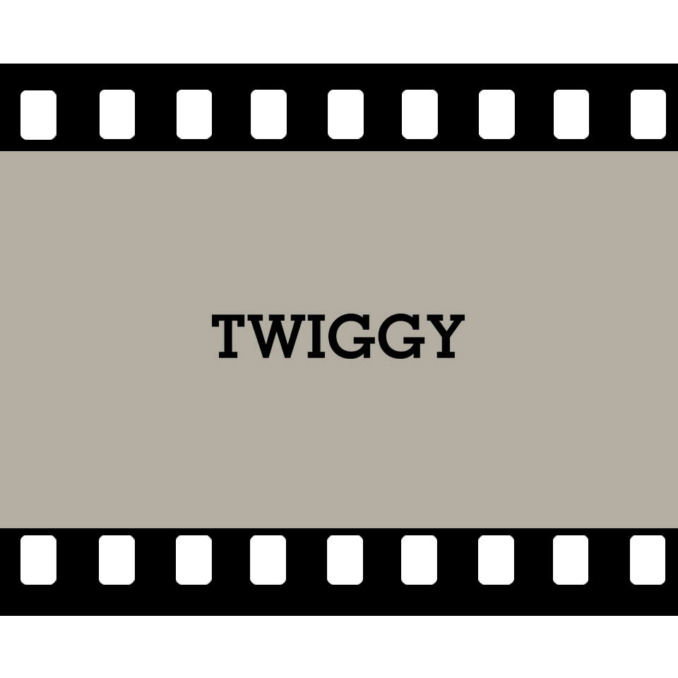 twiggy_video_image_square2